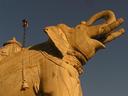 Temple elephant.